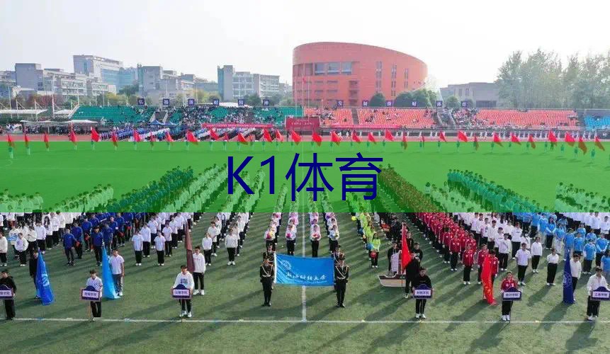 网球拍材质参数表格图解