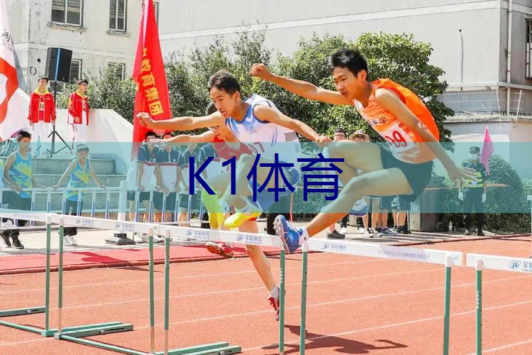 蒂姆网球拍子好不好