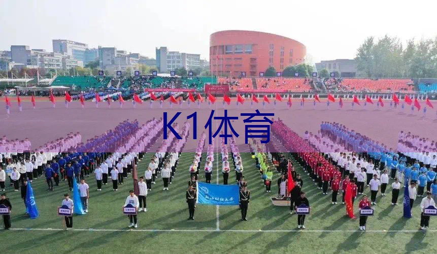儿童篮球训练器材